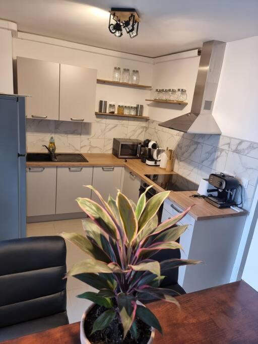 Appartement Vue Mer Avec Parking Gratuit Sur Place Bastia  Ngoại thất bức ảnh